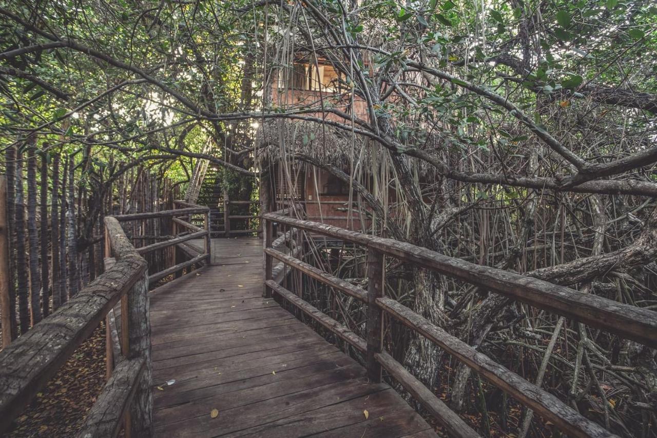 Hidden Treehouse Tulum Eco-Hotel Eksteriør billede